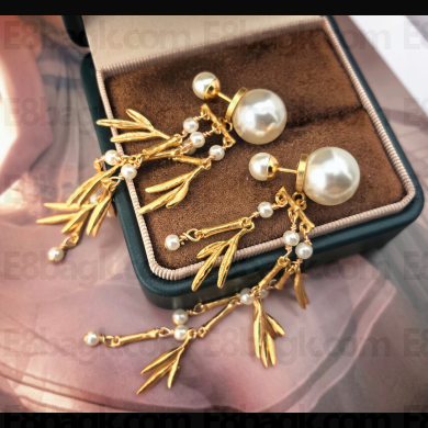 Dior Earrings 060301 2025
