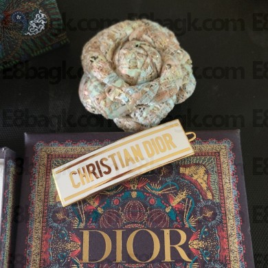 Dior Hairpin  De015