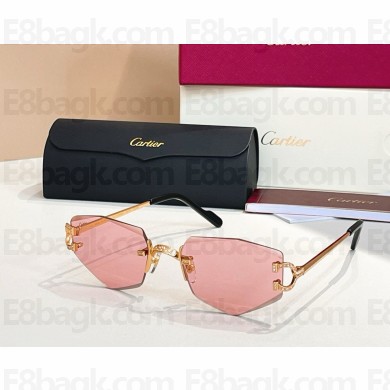 Cartier Sunglasses CT0582S-04 2025