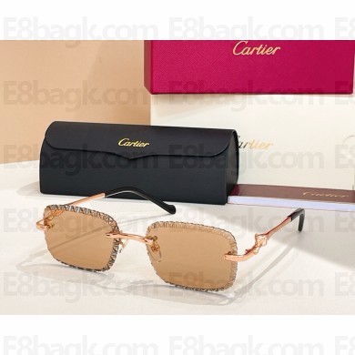 Cartier Sunglasses CT0695S 04 2025