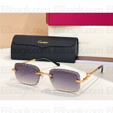 Cartier Sunglasses CT0695S 07 2025