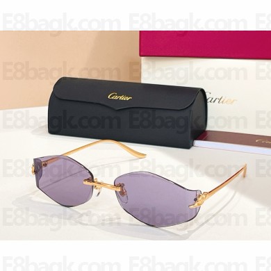 Cartier Sunglasses CT0684S 01 2025