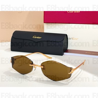 Cartier Sunglasses CT0684S 02 2025