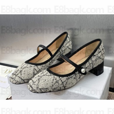 Dior D-Ramour Ballerina Multicolor Embroidered Cotton heel 3.5cm 2025