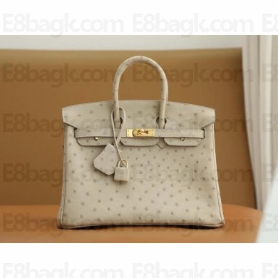 Hermes birkin 25 bag in ostrich leather beige handmade