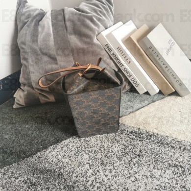Celine Strap Box Bag in Triompe Canvas black 2021