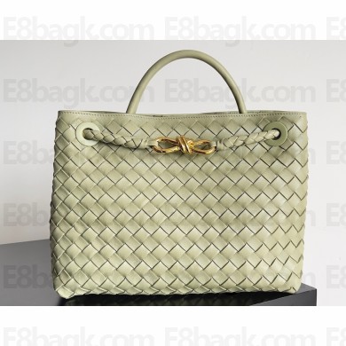Bottega Veneta Intrecciato leather Medium Andiamo top handle Bag Light Green