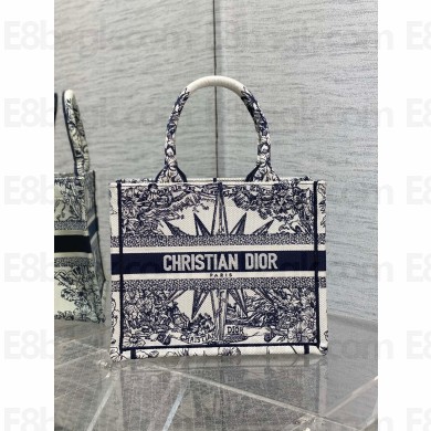 Dior Small Book Tote Bag in White and Blue Rêve d'Infini Embroidery 2022 