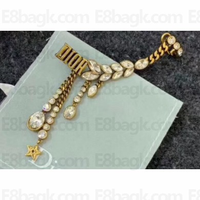 Dior Earrings 35 2019