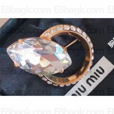 Miu Miu Hoop and Crystal Brooch 2019