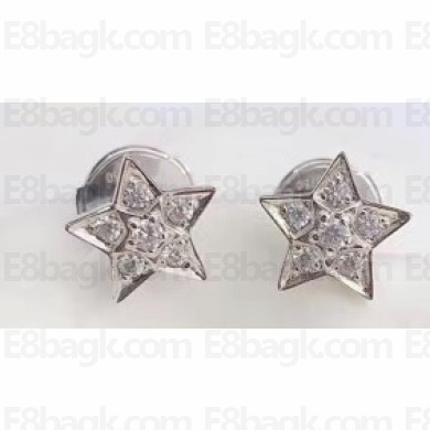 Chanel Earrings 303 2019
