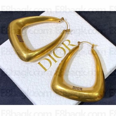 Dior Earrings 11 2019