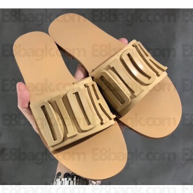 Dior Diorevolution Mules Apricot 2020