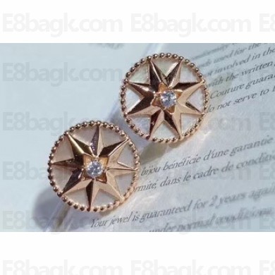 Dior Earrings 21 2020