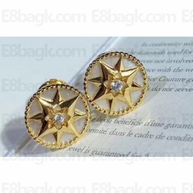 Dior Earrings 22 2020