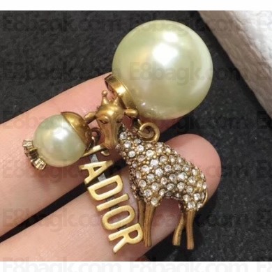 Dior Earrings 08 2020