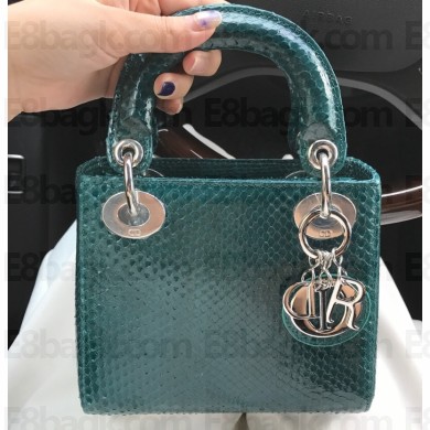 Lady Dior Python Mini Bag 19