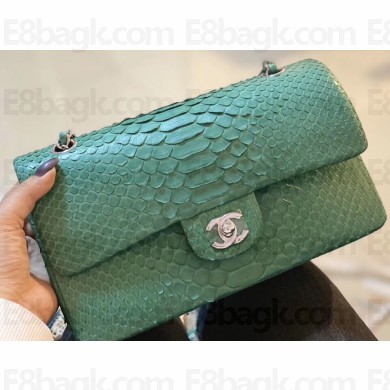 Chanel Python Classic Flap Medium Bag A1112 40