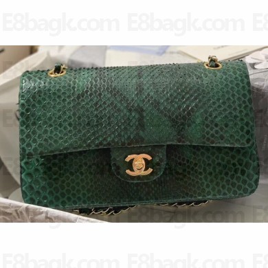 Chanel Python Classic Flap Medium Bag A1112 44
