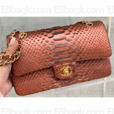Chanel Python Classic Flap Medium Bag A1112 25