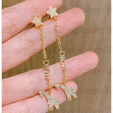 Dior Earrings 31 2020
