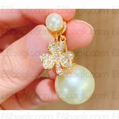Dior Earrings 28 2020