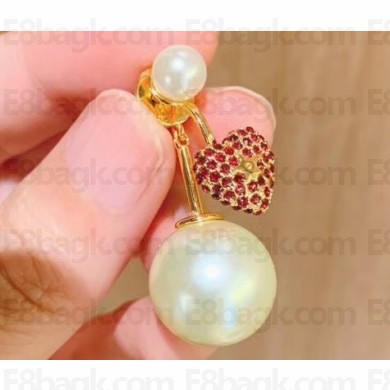 Dior Earrings 30 2020