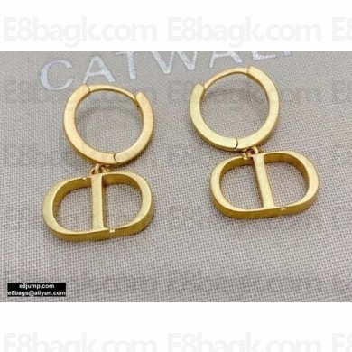 Dior Earrings 52 2020