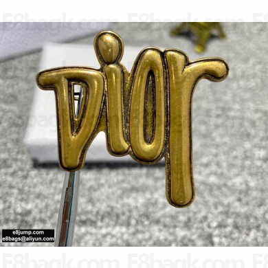 Dior Brooch 07 2020