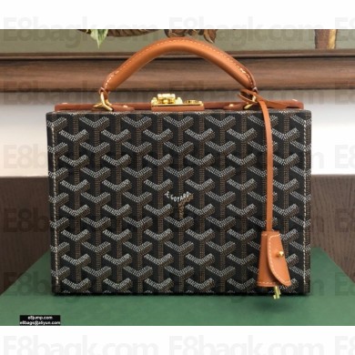 Goyard Regina Trunk Bag Brown