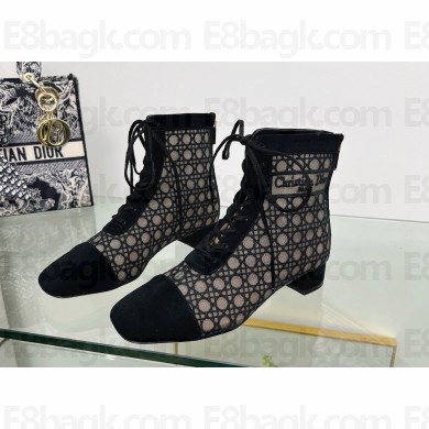 Dior Naughtily-D heeled ankle boot Transparent Mesh Embroidered with Black Cannage Motif and Suede Goatskin heel 3.5cm 2024