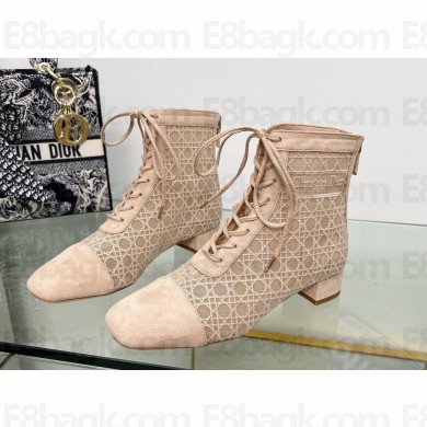 Dior Naughtily-D heeled ankle boot Transparent Mesh Embroidered with naked Cannage Motif and Suede Goatskin heel 3.5cm 2024
