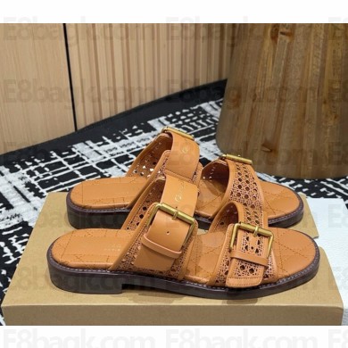 Dior D-Avenue Slide Brown Calfskin with Openwork Microcannage Motif 2025