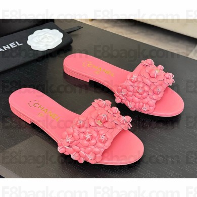 Chanel flat Camellia Slipper Pink 2025
