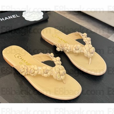 Chanel flat Camellia flip-flops beige 2025