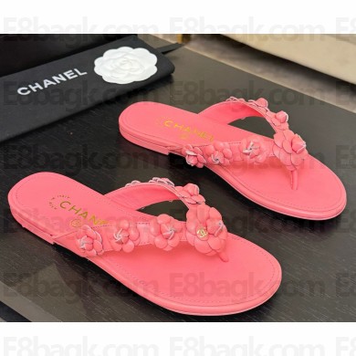 Chanel flat Camellia flip-flops Pink 2025