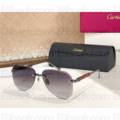 Cartier Sunglasses CT0509S-01 2025