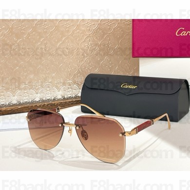 Cartier Sunglasses CT0509S-02 2025