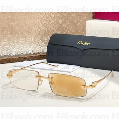 Cartier Sunglasses CT0505S-02 2025