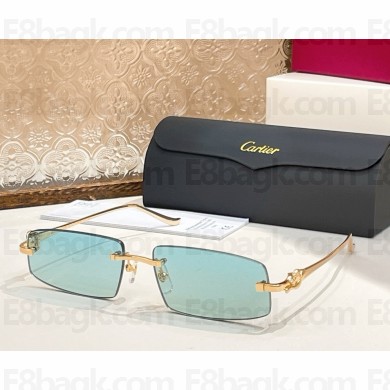 Cartier Sunglasses CT0505S-03 2025