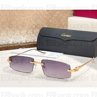 Cartier Sunglasses CT0505S-04 2025