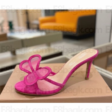 Gianvito Rossi ILIA mule supple suede and matching see-through mesh fabric fuchsia heel 8.5cm 2025
