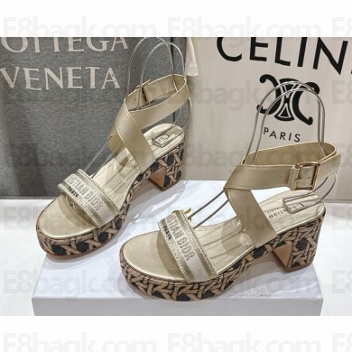 Dior Dway Heeled Sandal Natural Raffia, gold Embroidered Cotton and Calfskin 2025