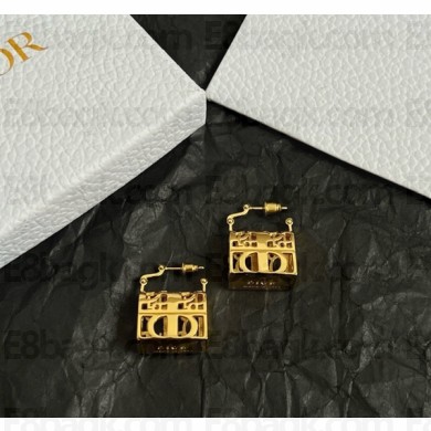 Dior Earrings 042901 2025