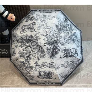 Dior Umbrella 050819 2025 