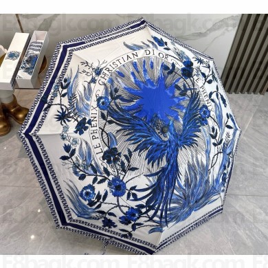 Dior Umbrella 050824 2025 