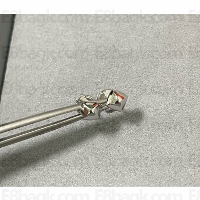 Hermes Earrings 052418 2025 