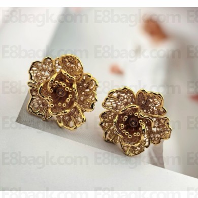 Dior Earrings 060302 2025