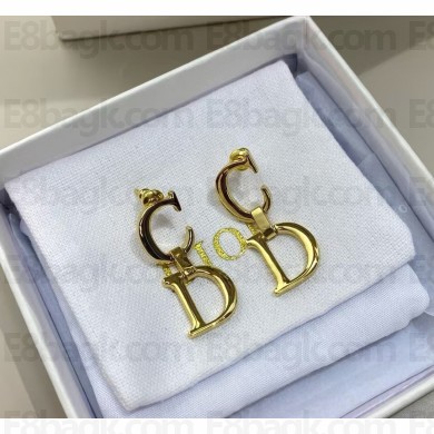 Dior Earrings 060304 2025