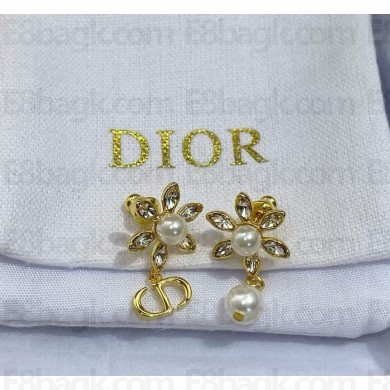 Dior Earrings 060303 2025